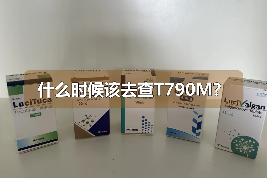 什么时候该去查T790M?